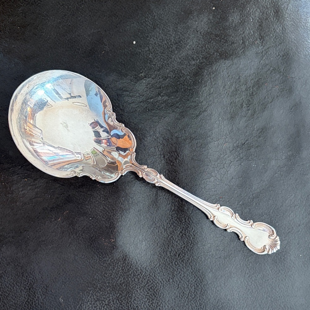 Elegant Silverplate Serving Spoon